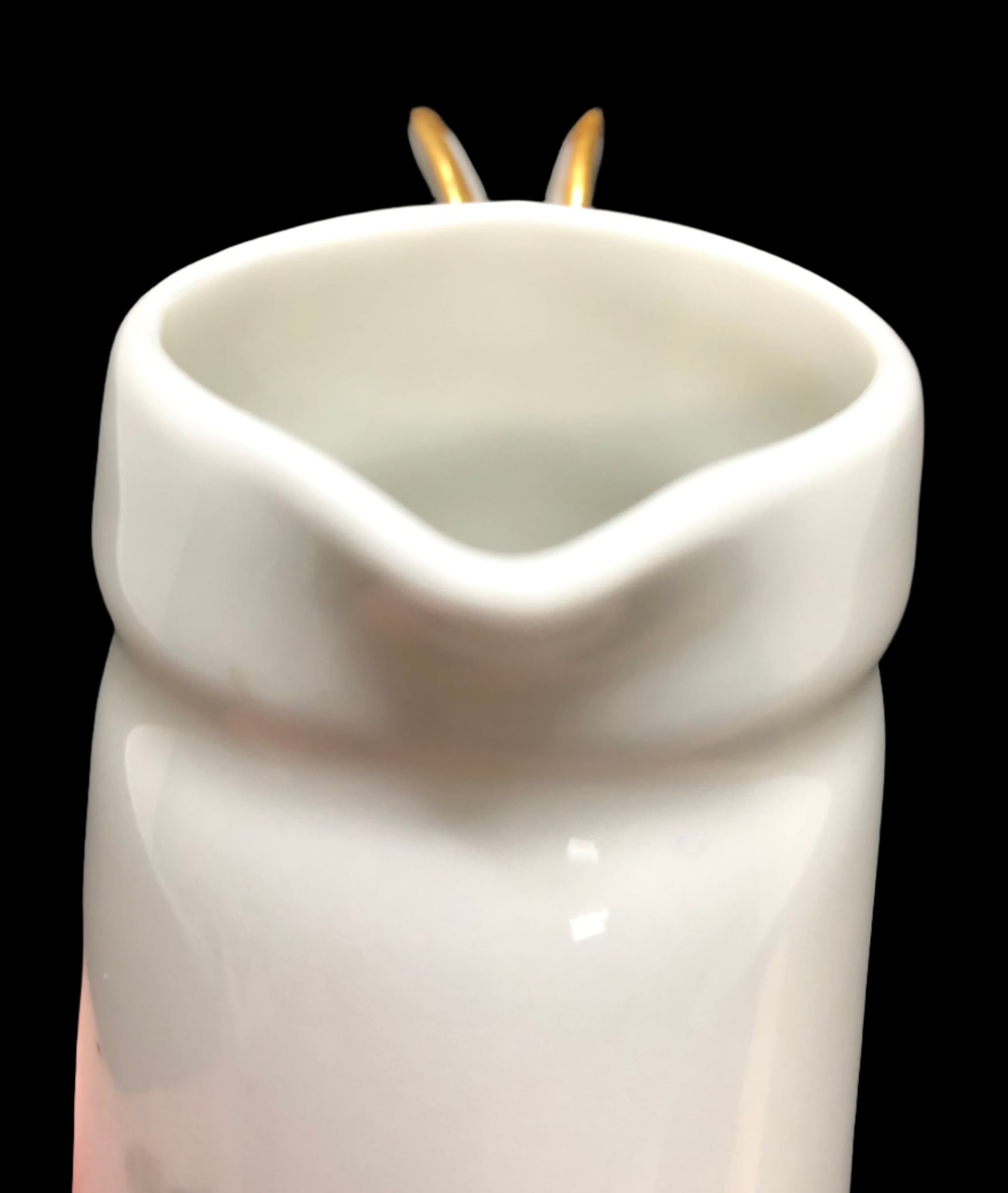 Cottage Core Porcelain Creamer with Dragon Fly Handle HCL Limoges Spout