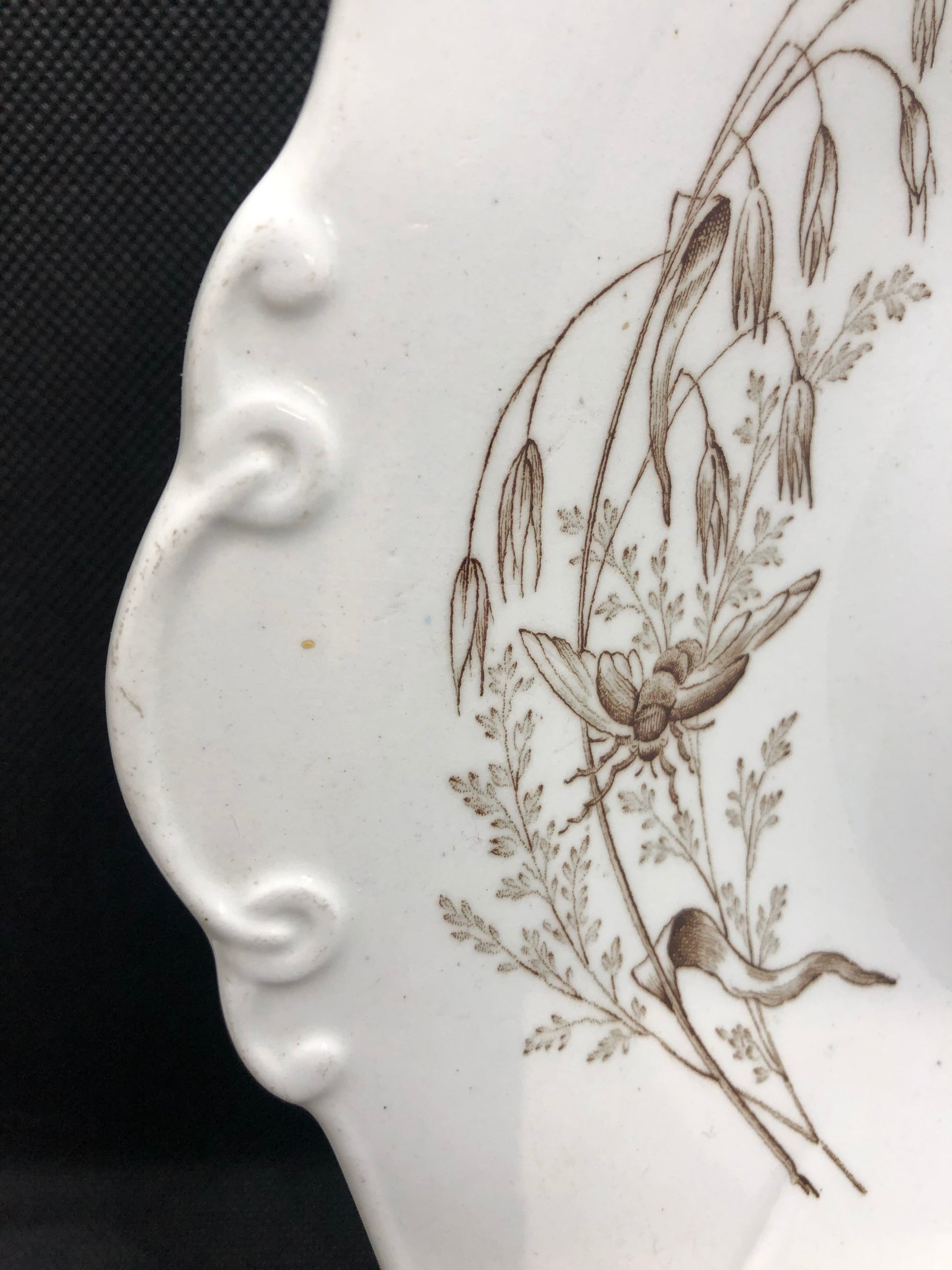 Porcelain plate antique Ashworth Bros Victoria Pattern Ironstone insect 