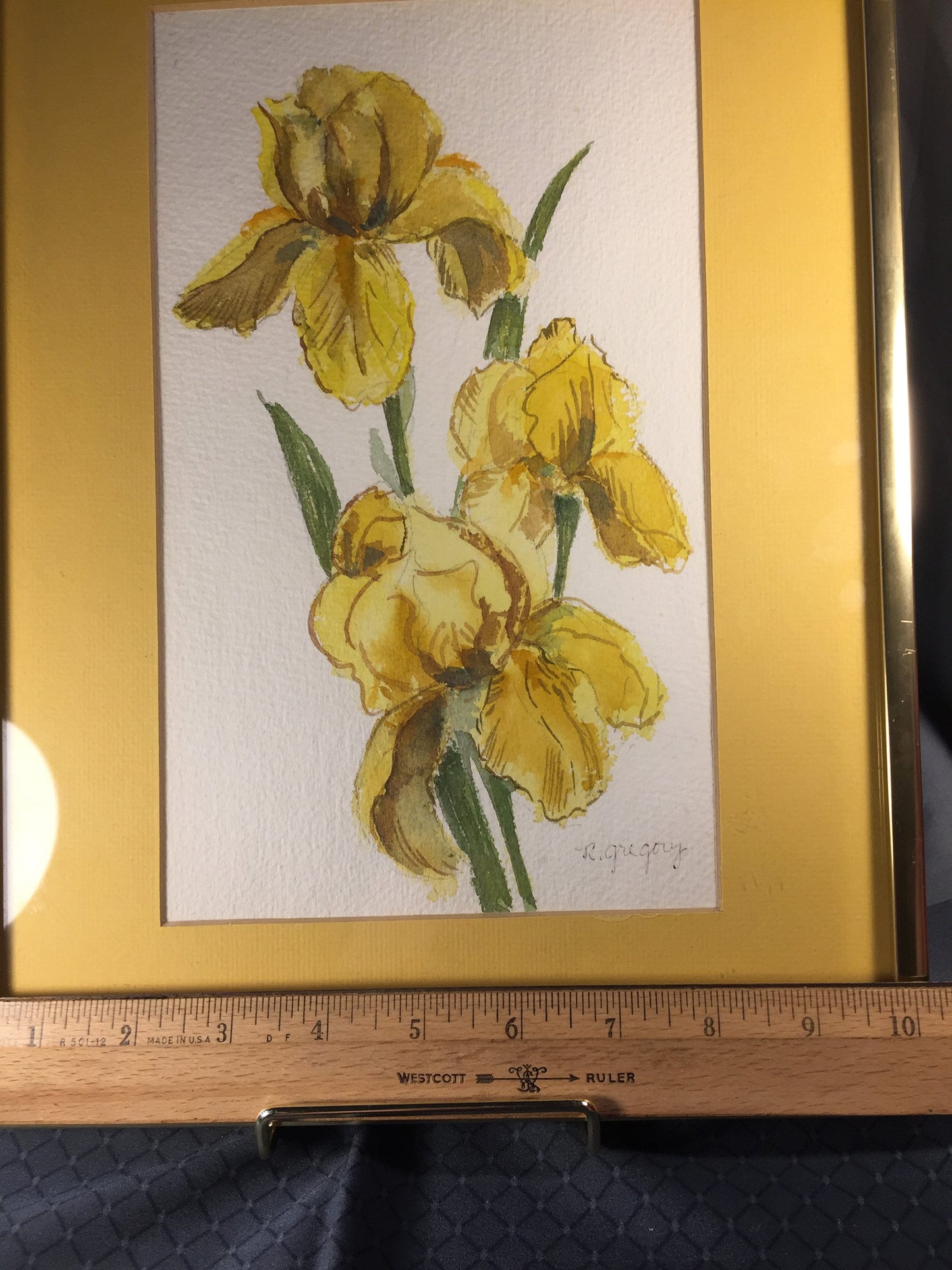 Yellow Iris Water Color