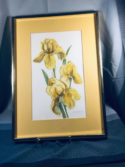 Yellow Iris Water Color