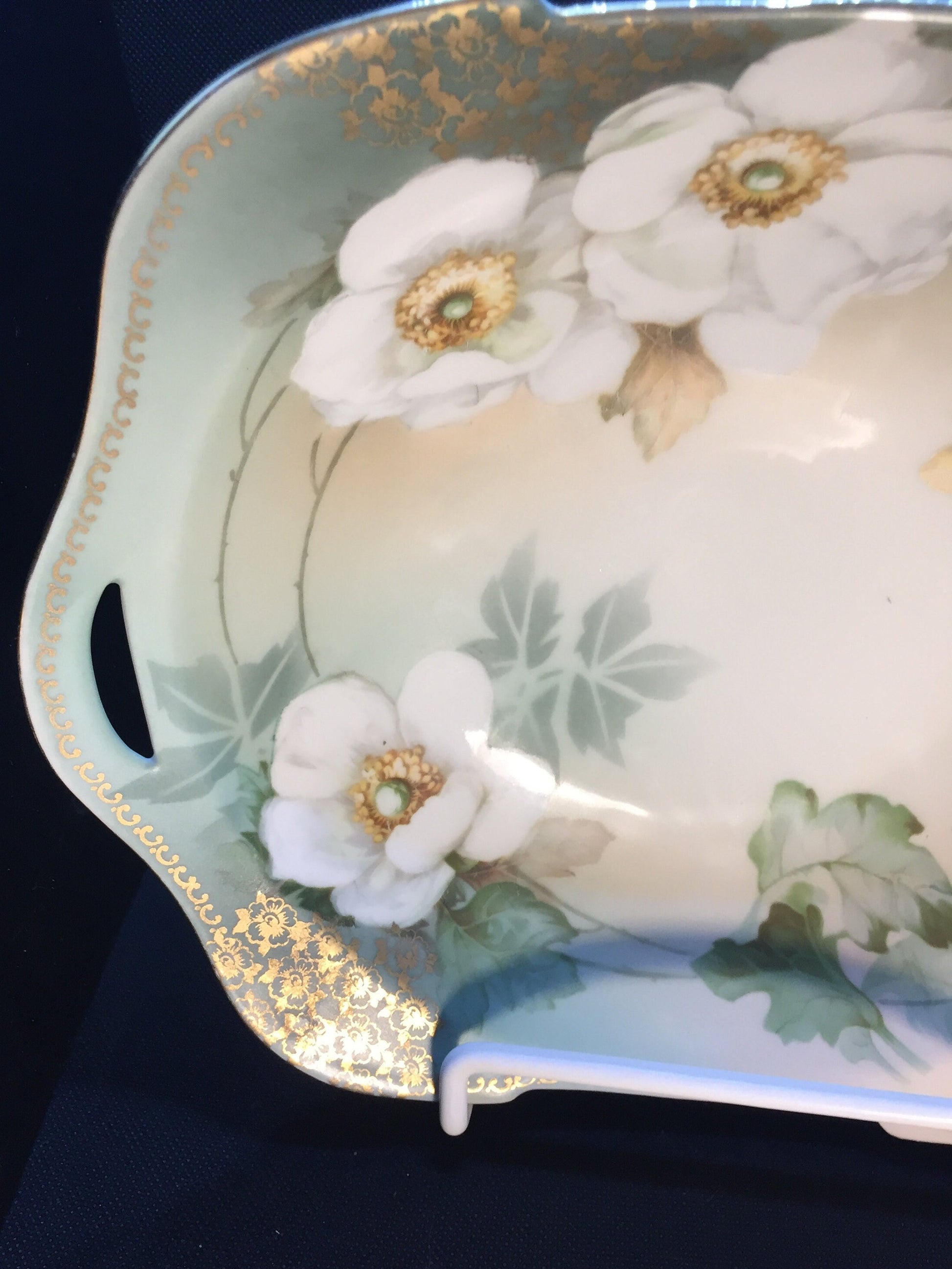 Beautiful R&S Handpainted Bowl with Flowers