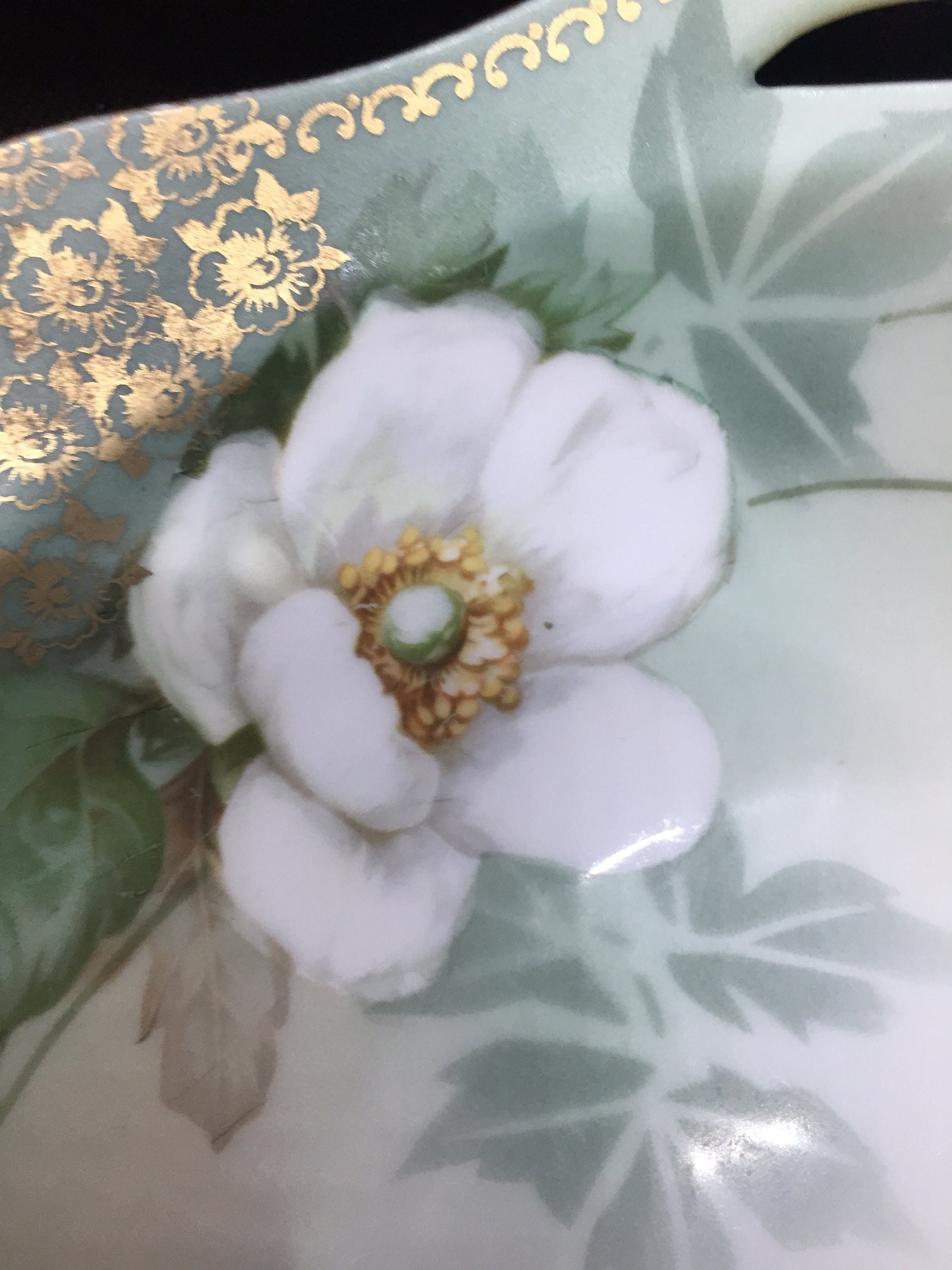 Beautiful R&S Handpainted Bowl with Flowers