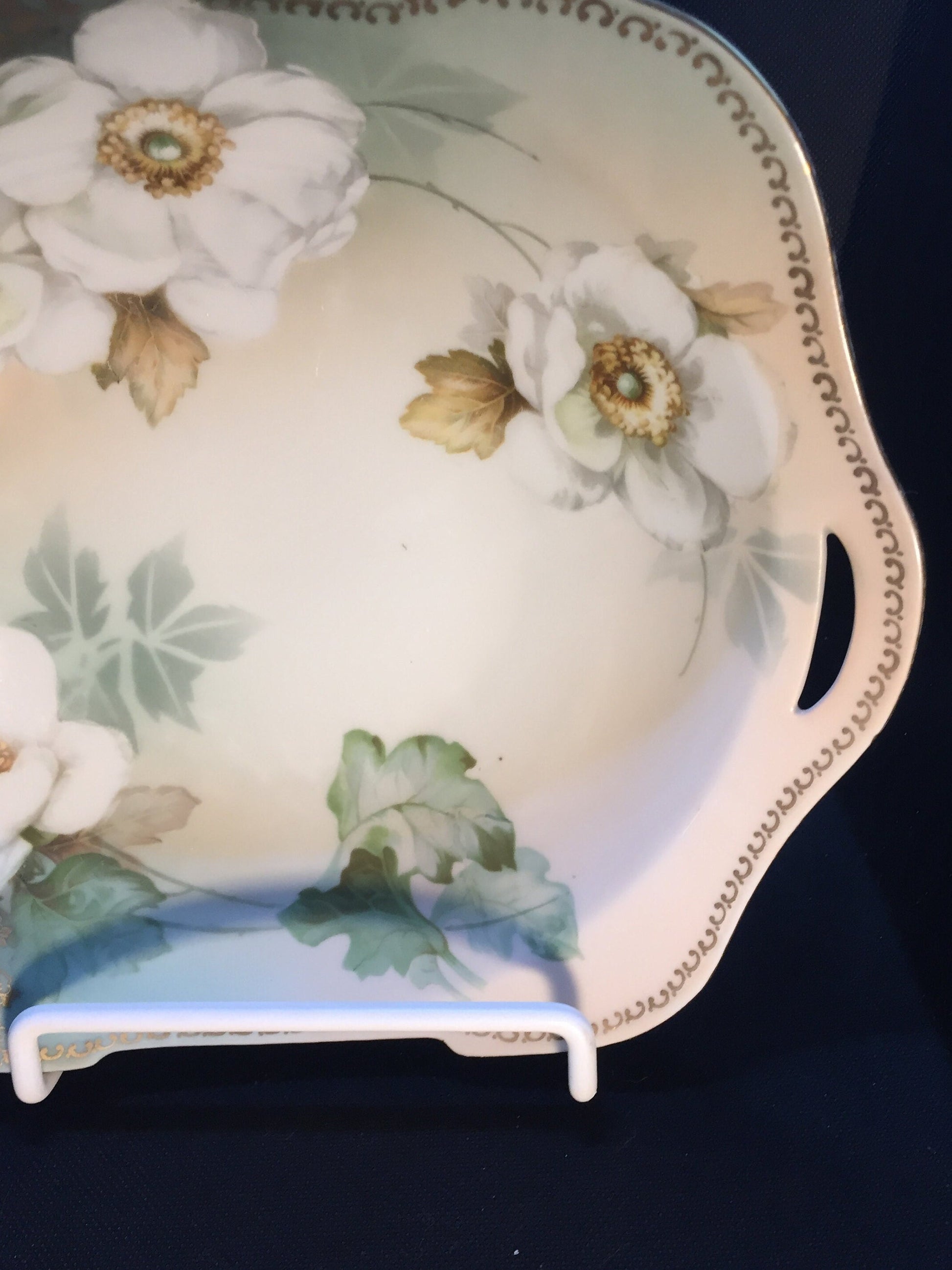 Beautiful R&S Handpainted Bowl with Flowers