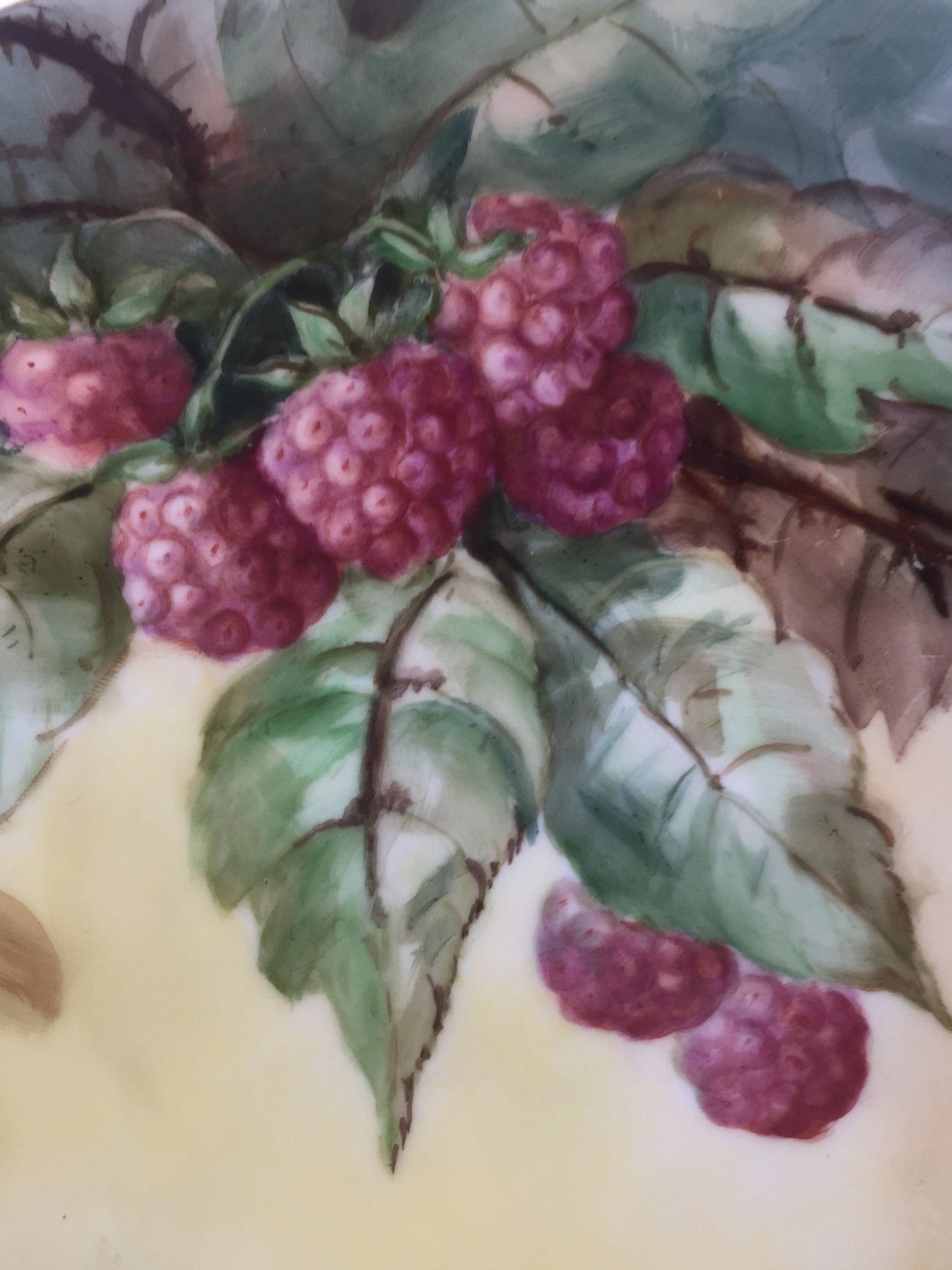 Limoges Hand painted Berry Plates